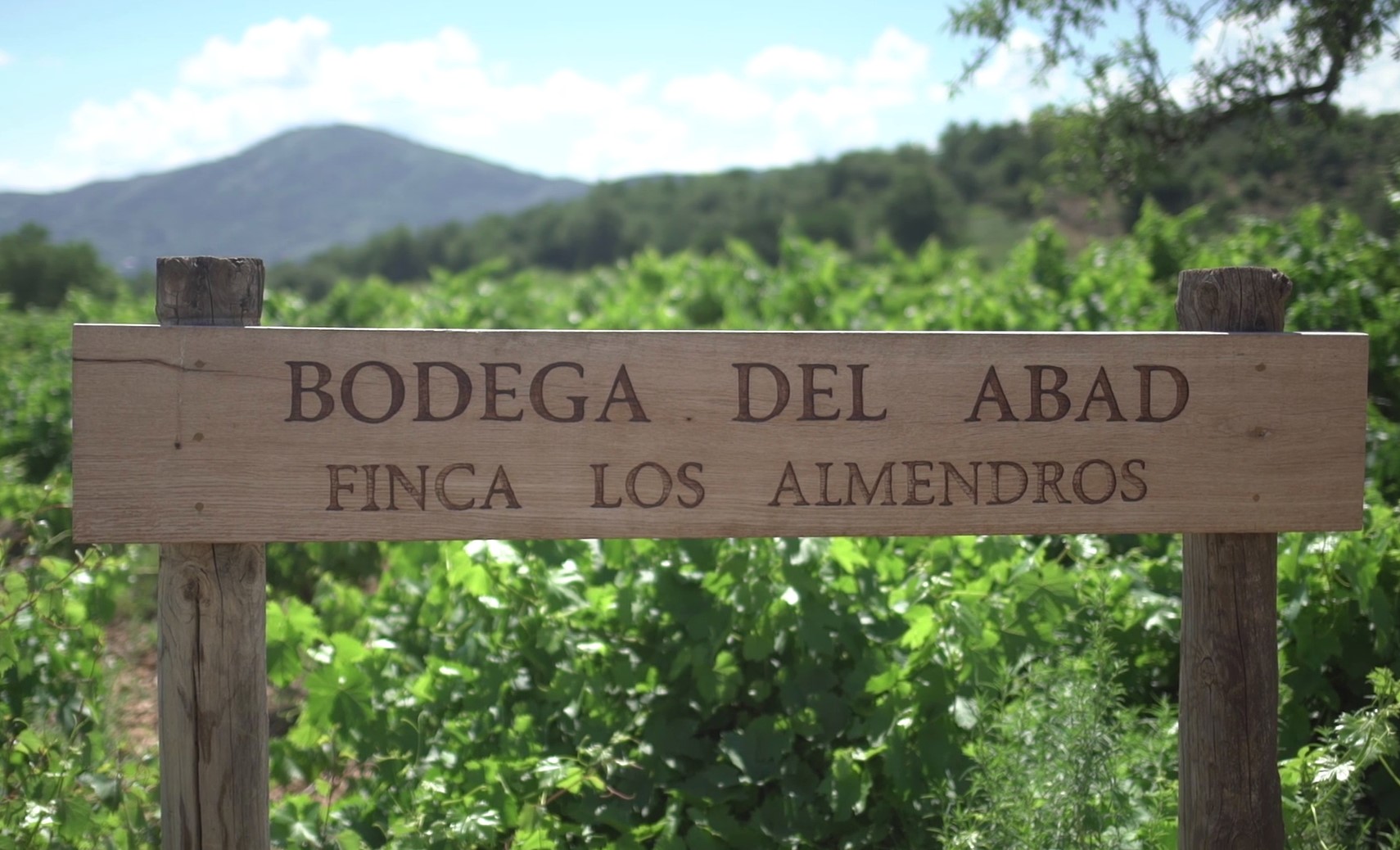 Los Almendros Bodega del Abad