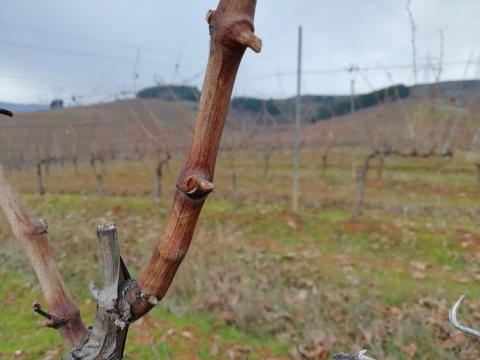 150_horas_invierno