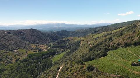 POST BIERZO PARAISO