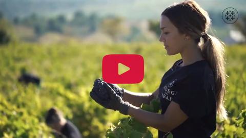 canal_youtube_bodega_del_abad