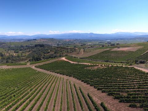 dji_0182