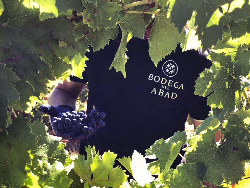 2020 Bodega del Abad
