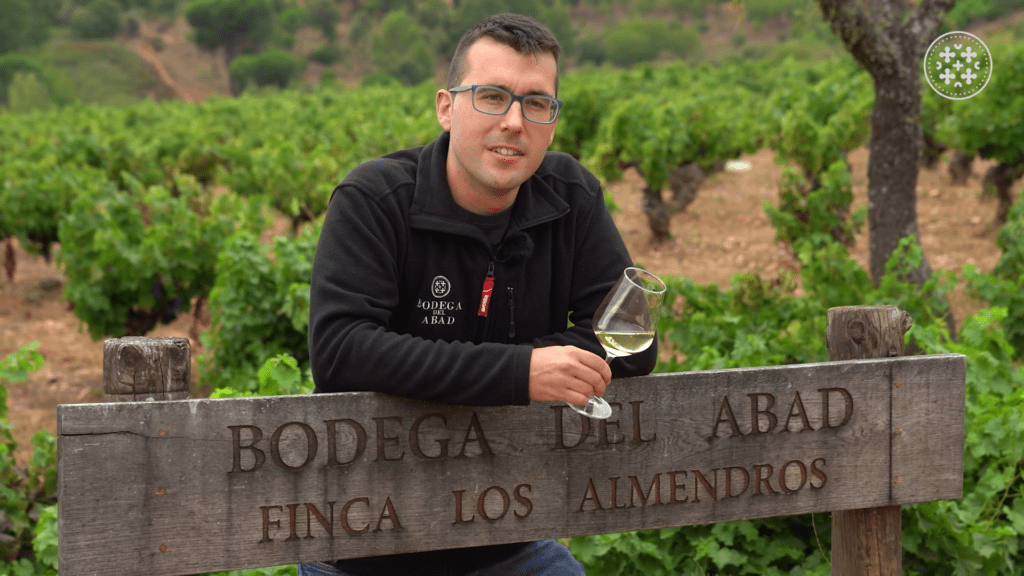José Cervera Enólogo Abad