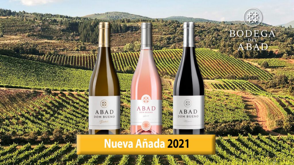 DISEÑO FINAL NUEVA AÑADA