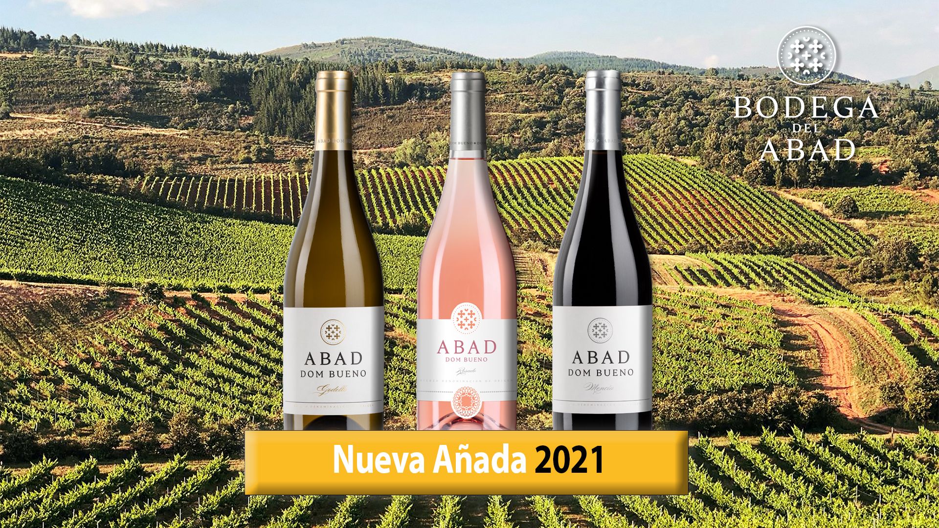 DISEÑO FINAL NUEVA AÑADA