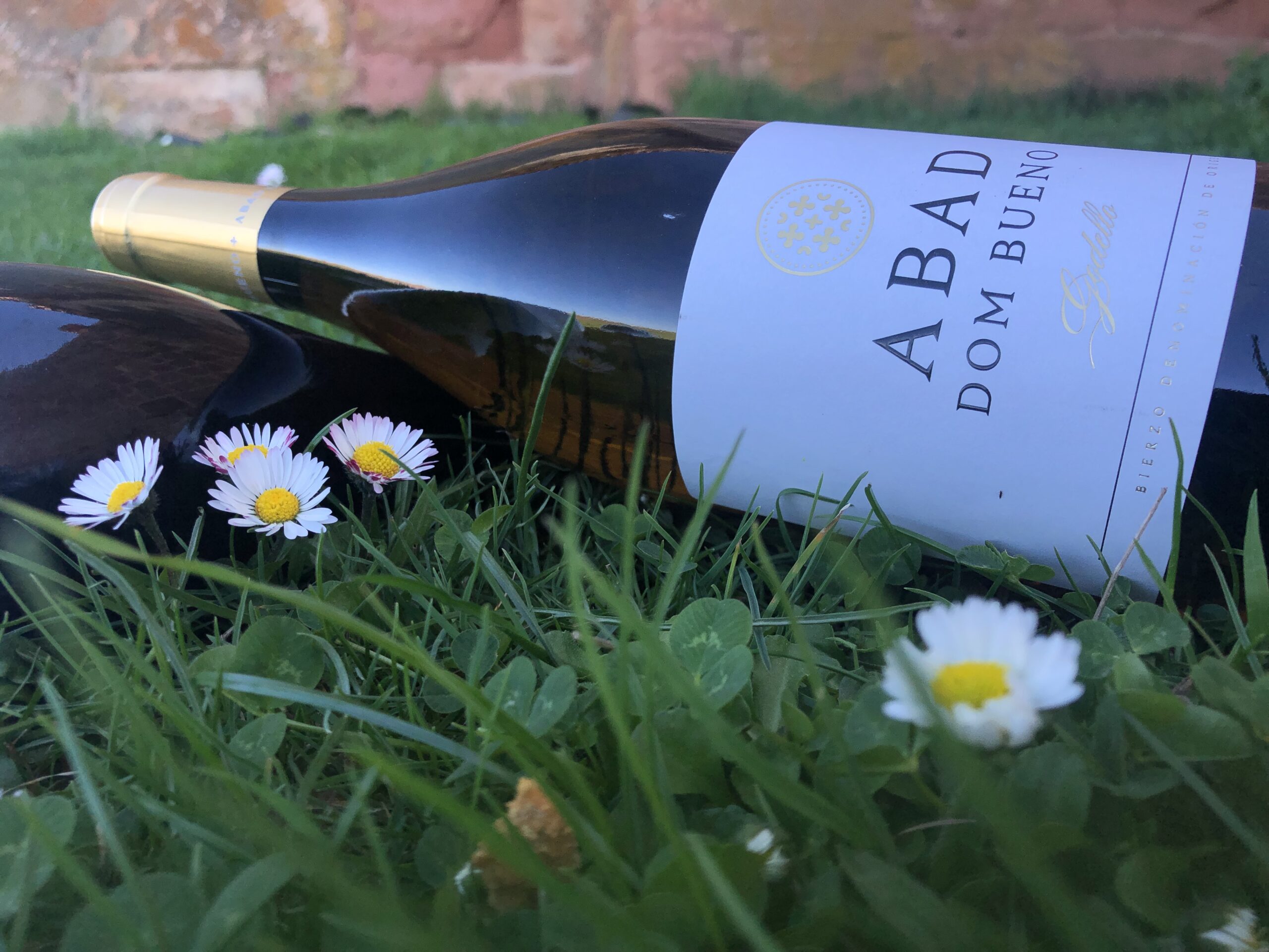 Godello Primavera