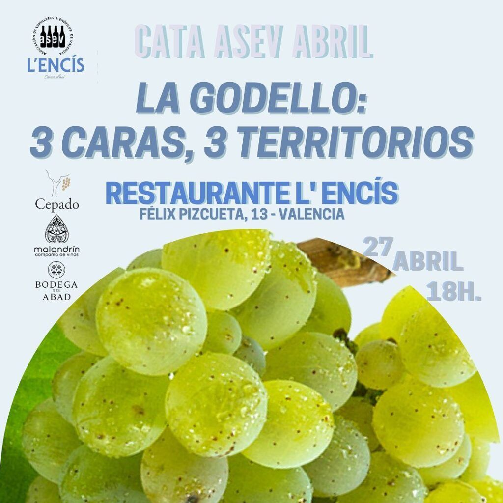 cata godello