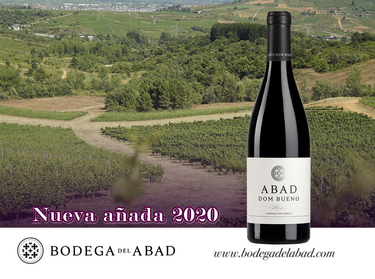 ABAD - Diseño Añada 2020