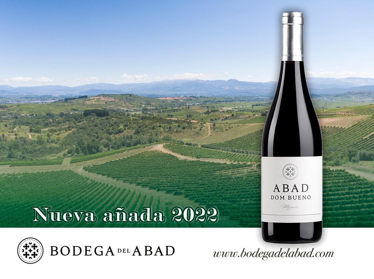 Nuevas añadas Bodega del Abad