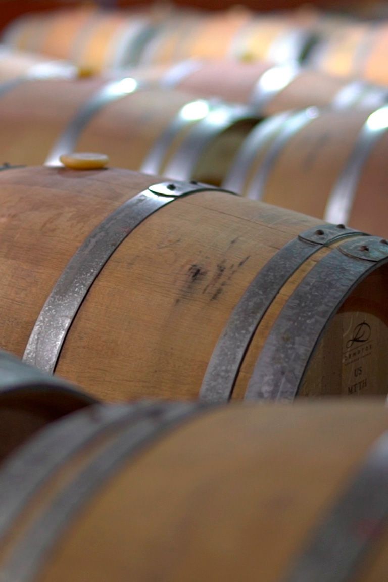 bodega del Bierzo con historia